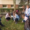 SADZIMY KROKUSY  W OGRODZIE ZIELONEJ EUROPY